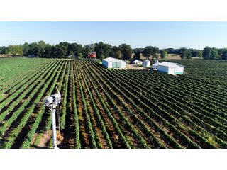 Tract 5 - Van Buren County, Michigan Farmland - LAND AUCTION - 300+/- ACRES SPECIALTY CROP - GRAPES AND HOPS - OFFERED IN 8 TRACTS IN VAN BUREN COUNTY, MICHIGAN